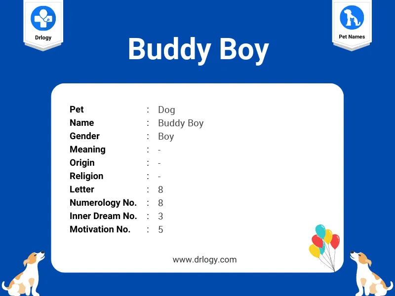 Buddy Boy Name Meaning
